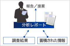 分析・報告